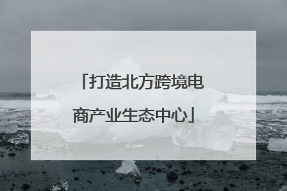 打造北方跨境电商产业生态中心